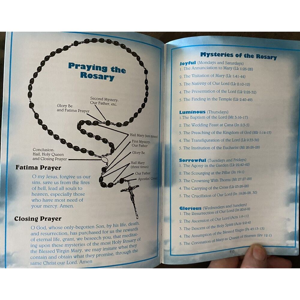 The Catholic Teen Bible StudyNAB Revised Edition Illustrated Inserts - Picture 11 of 16